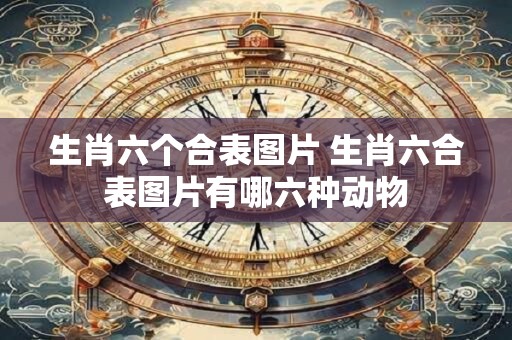 生肖六个合表图片 生肖六合表图片有哪六种动物