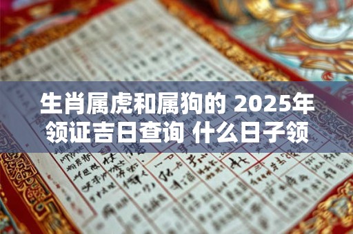 生肖属虎和属狗的 2025年领证吉日查询 什么日子领证好