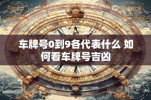 车牌号0到9各代表什么 如何看车牌号吉凶