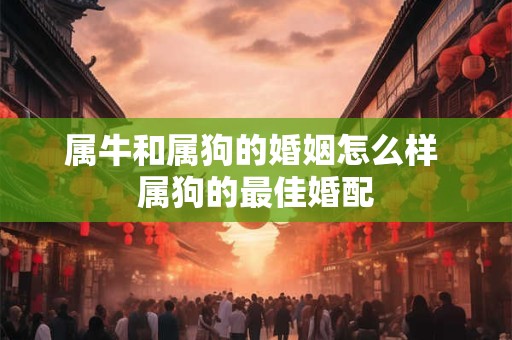 属牛和属狗的婚姻怎么样 属狗的最佳婚配