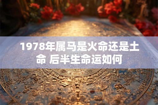 1978年属马是火命还是土命 后半生命运如何