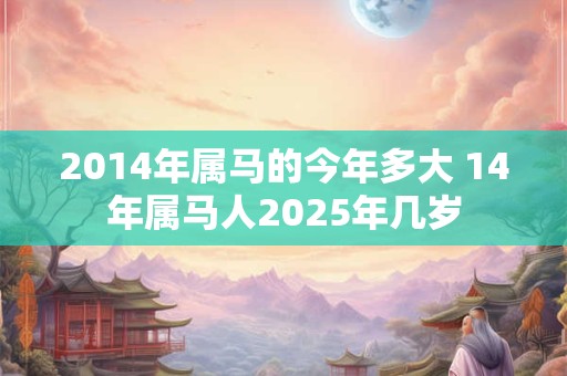 2014年属马的今年多大 14年属马人2025年几岁