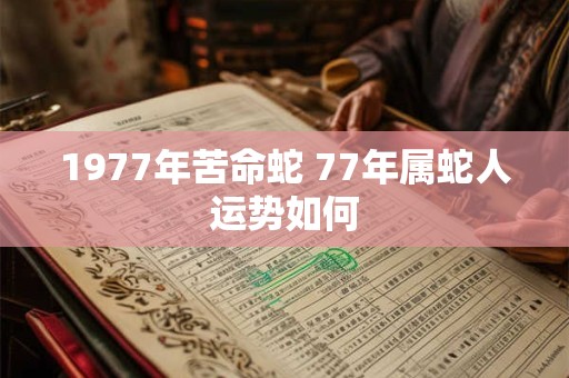 1977年苦命蛇 77年属蛇人运势如何