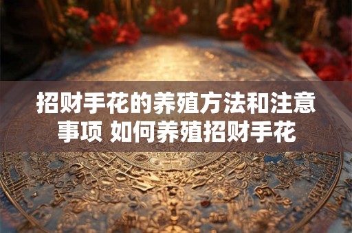 招财手花的养殖方法和注意事项 如何养殖招财手花