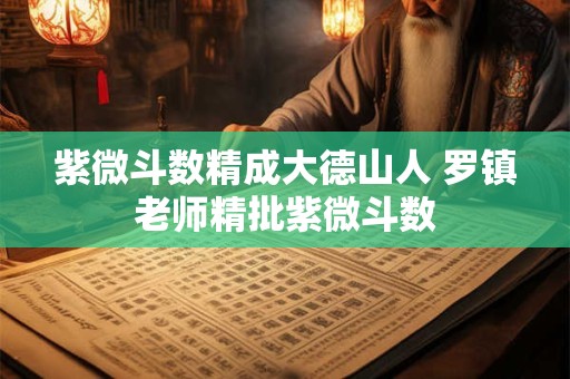 紫微斗数精成大德山人 罗镇老师精批紫微斗数
