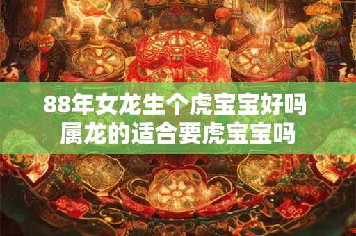 88年女龙生个虎宝宝好吗 属龙的适合要虎宝宝吗
