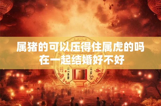 属猪的可以压得住属虎的吗 在一起结婚好不好