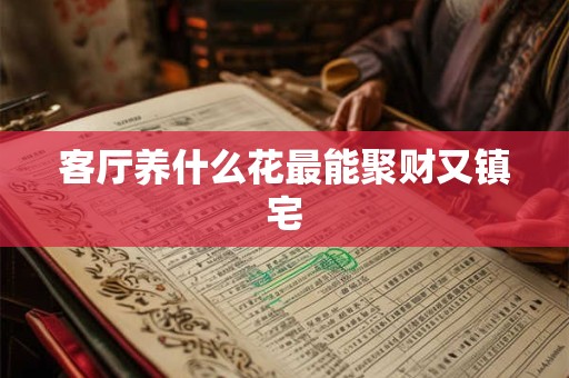 客厅养什么花最能聚财又镇宅