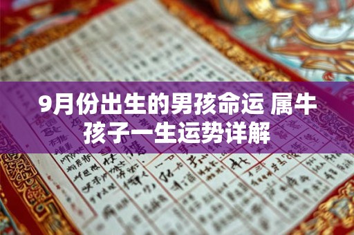 9月份出生的男孩命运 属牛孩子一生运势详解