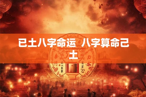 已土八字命运  八字算命己土