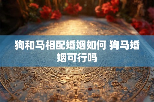 狗和马相配婚姻如何 狗马婚姻可行吗