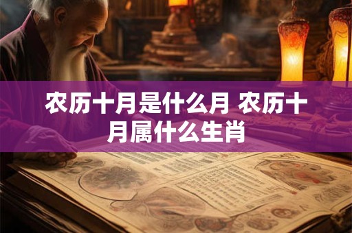 农历十月是什么月 农历十月属什么生肖