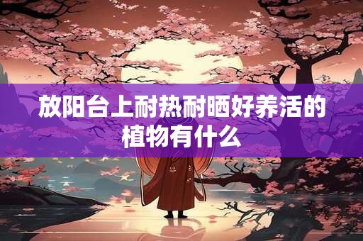 放阳台上耐热耐晒好养活的植物有什么