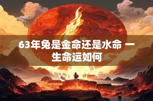 63年兔是金命还是水命 一生命运如何