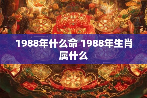 1988年什么命 1988年生肖属什么