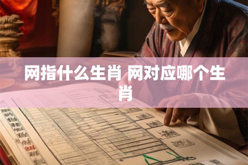 网指什么生肖 网对应哪个生肖