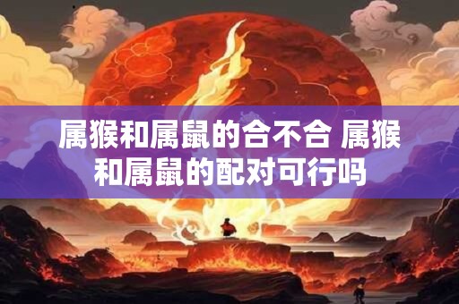 属猴和属鼠的合不合 属猴和属鼠的配对可行吗