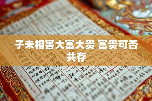 子未相害大富大贵 富贵可否共存