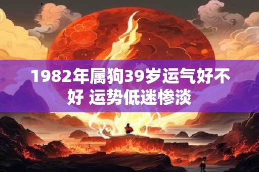 1982年属狗39岁运气好不好 运势低迷惨淡