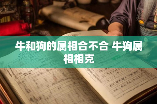 牛和狗的属相合不合 牛狗属相相克