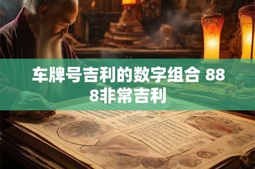 车牌号吉利的数字组合 888非常吉利