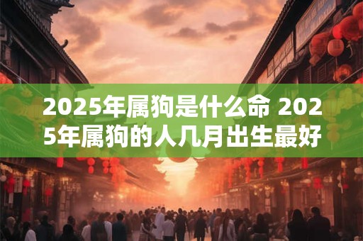 2025年属狗是什么命 2025年属狗的人几月出生最好