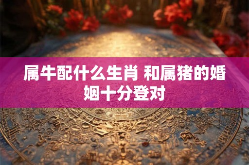 属牛配什么生肖 和属猪的婚姻十分登对
