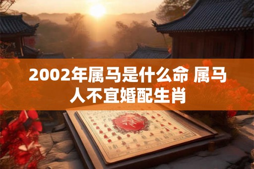 2002年属马是什么命 属马人不宜婚配生肖