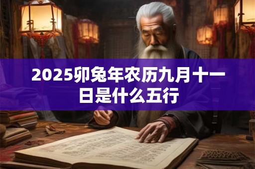 2025卯兔年农历九月十一日是什么五行