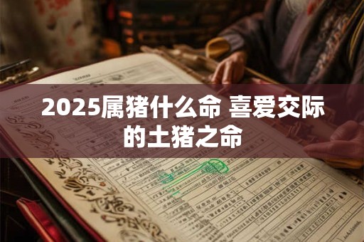 2025属猪什么命 喜爱交际的土猪之命