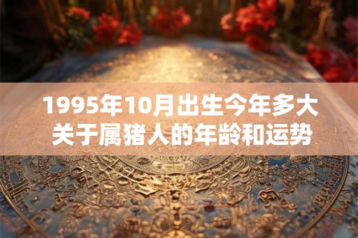 1995年10月出生今年多大 关于属猪人的年龄和运势揭秘