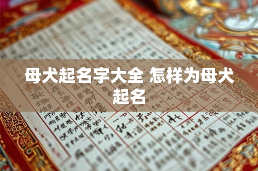 母犬起名字大全 怎样为母犬起名