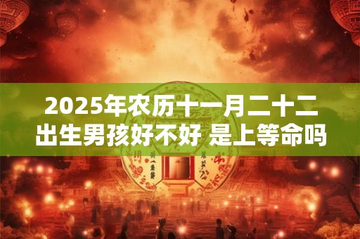 2025年农历十一月二十二出生男孩好不好 是上等命吗 2025年农历十一月二十二出生男孩好不好 是上等命吗