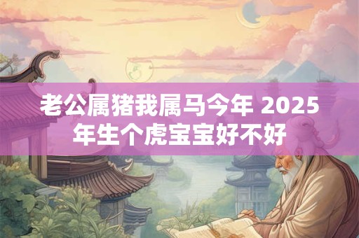 老公属猪我属马今年 2025年生个虎宝宝好不好