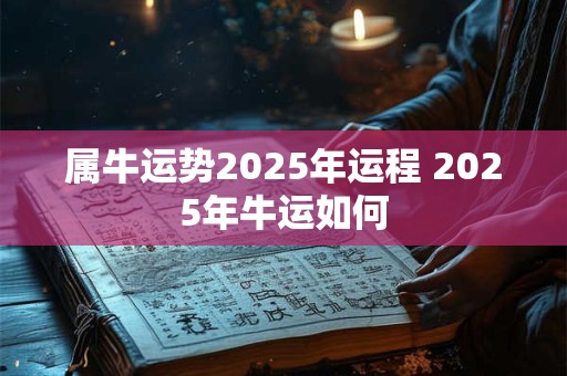 属牛运势2025年运程 2025年牛运如何