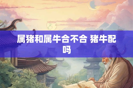 属猪和属牛合不合 猪牛配吗