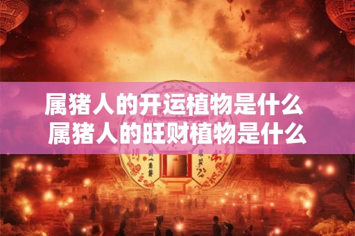 属猪人的开运植物是什么 属猪人的旺财植物是什么