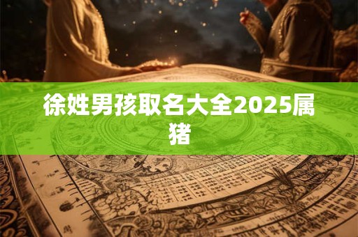 徐姓男孩取名大全2025属猪