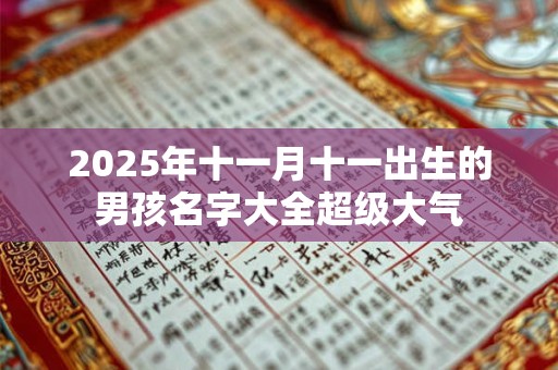 2025年十一月十一出生的男孩名字大全超级大气