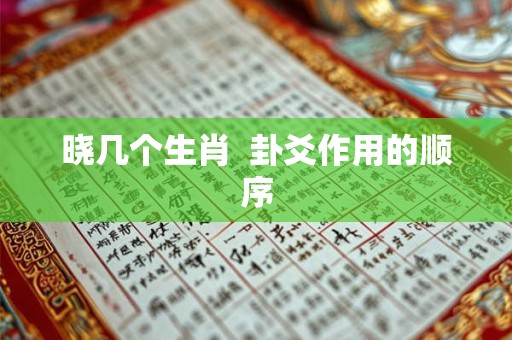 晓几个生肖  卦爻作用的顺序