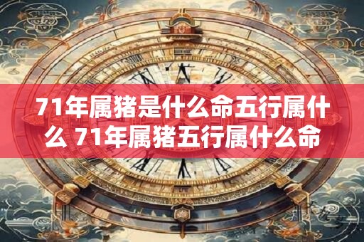 71年属猪是什么命五行属什么 71年属猪五行属什么命