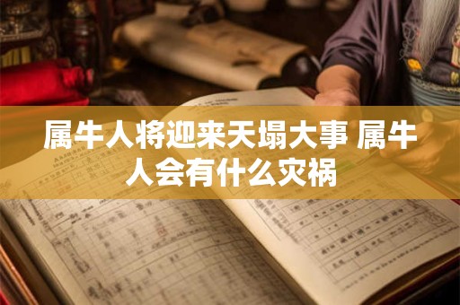 属牛人将迎来天塌大事 属牛人会有什么灾祸