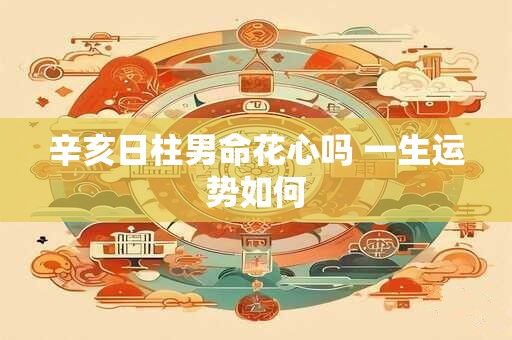 辛亥日柱男命花心吗 一生运势如何