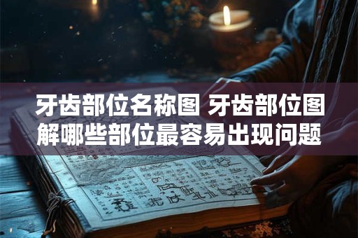 牙齿部位名称图 牙齿部位图解哪些部位最容易出现问题
