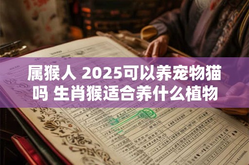 属猴人 2025可以养宠物猫吗 生肖猴适合养什么植物