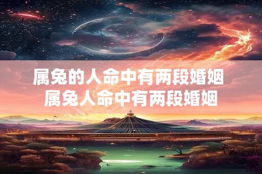 属兔的人命中有两段婚姻 属兔人命中有两段婚姻