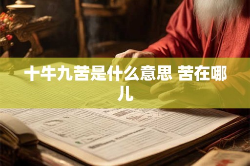 十牛九苦是什么意思 苦在哪儿
