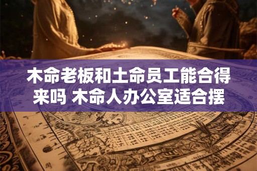 木命老板和土命员工能合得来吗 木命人办公室适合摆放什么
