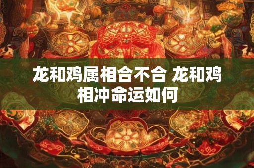 龙和鸡属相合不合 龙和鸡相冲命运如何