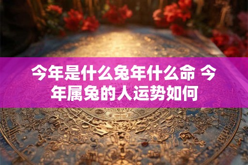 今年是什么兔年什么命 今年属兔的人运势如何